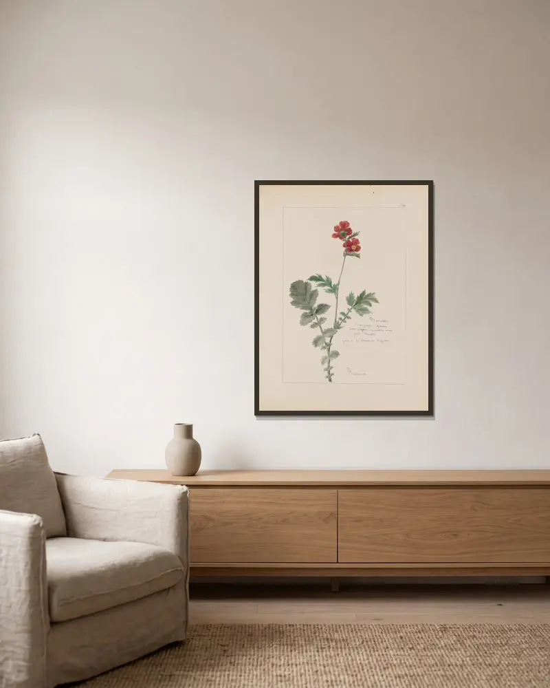 Botanisches Album Pl. 305 von Constant Amable Prevost-Hersant gerahmt an einer Wand