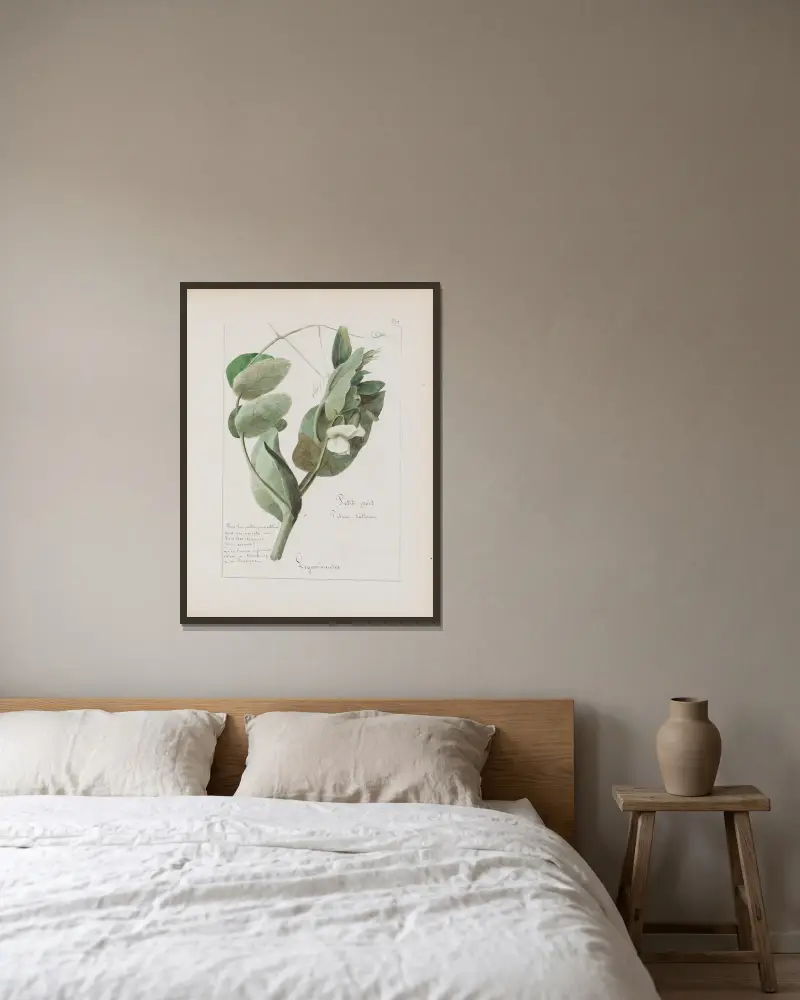 Botanisches Album Tafel 309 von Constant Amable Prevost-Hersant gerahmt an einer Wand
