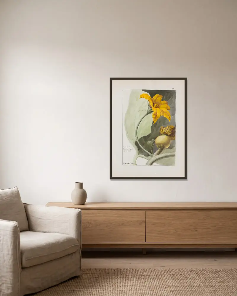 Botanisches Album Taf. 339 von Constant Amable Prevost-Hersant gerahmt an einer Wand