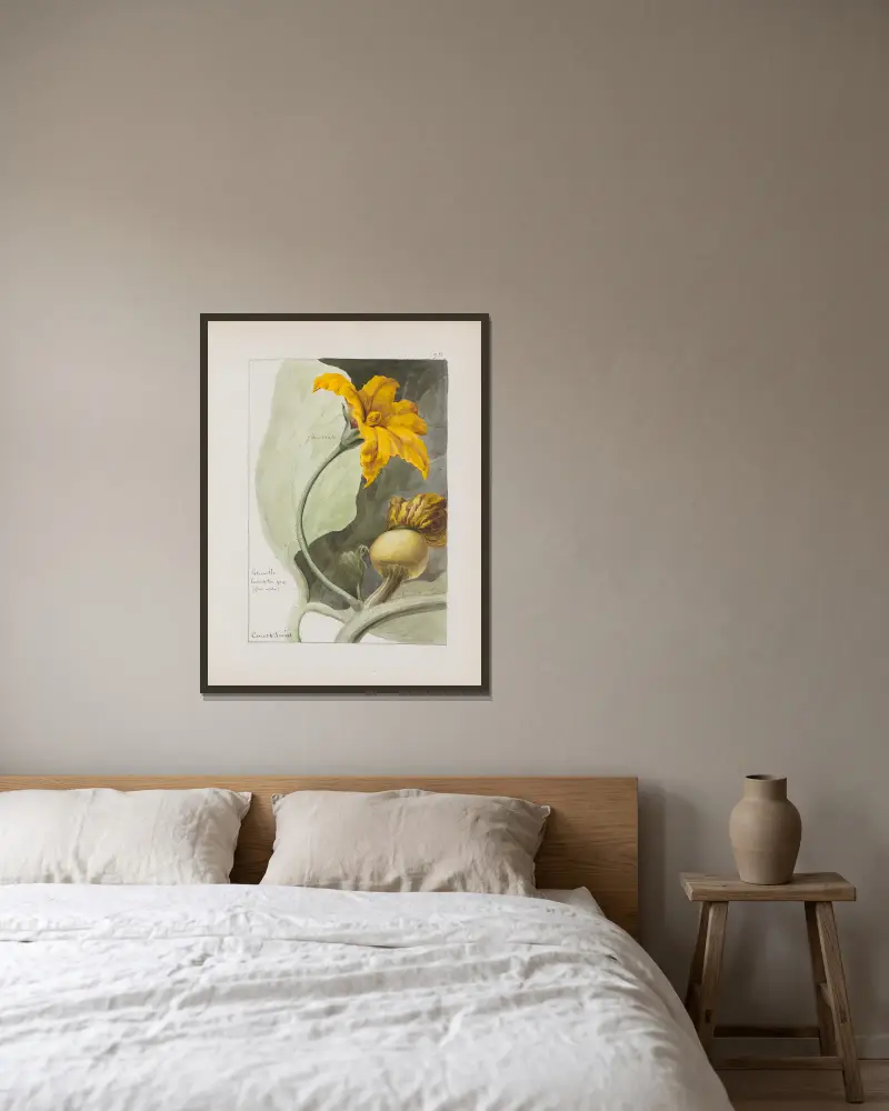 Botanisches Album Taf. 339 von Constant Amable Prevost-Hersant gerahmt an einer Wand