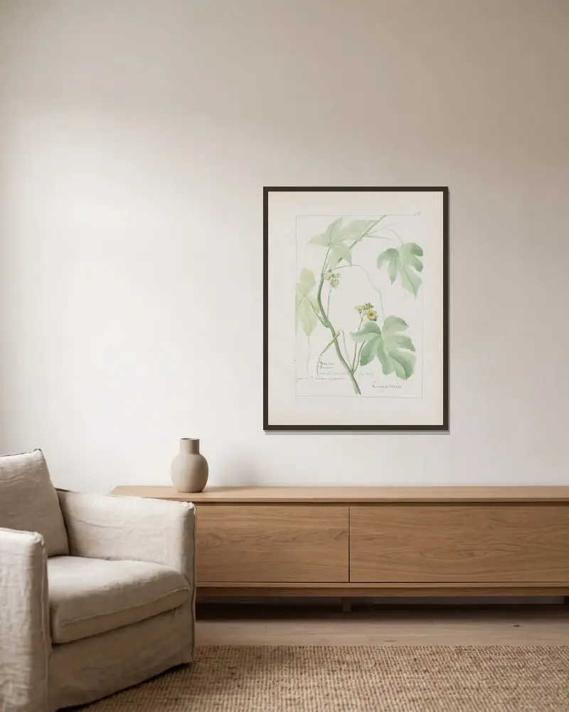 Botanisches Album Taf. 341 von Constant Amable Prevost-Hersant gerahmt an einer Wand