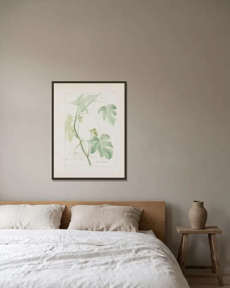 Botanisches Album Taf. 341 von Constant Amable Prevost-Hersant gerahmt an einer Wand