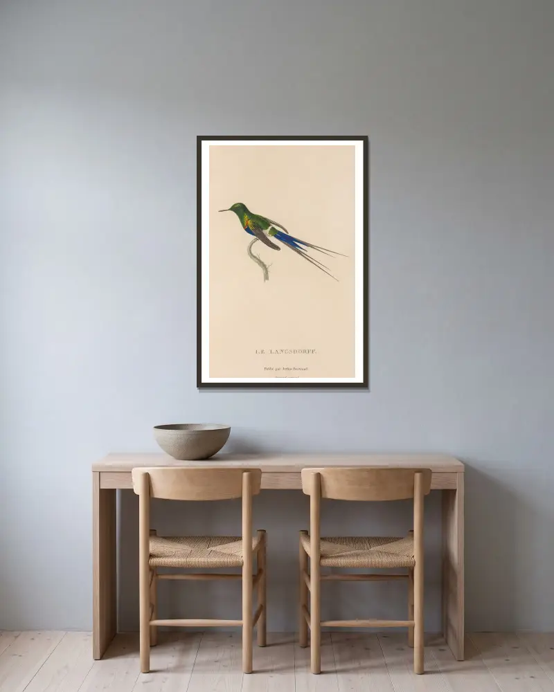 Naturgeschichte der Kolibris, Tafel 26 von René-Primevère Lesson gerahmt an einer Wand