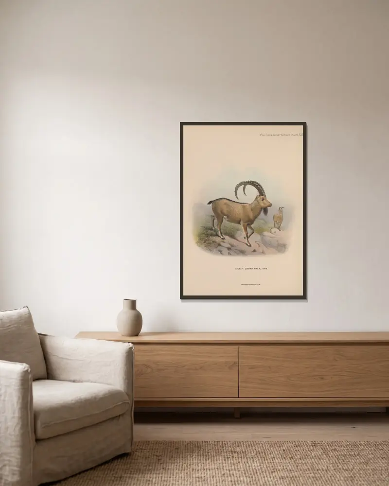 Asiatic (Thian Shan) Ibex av Richard Lydekker inramad på en vägg