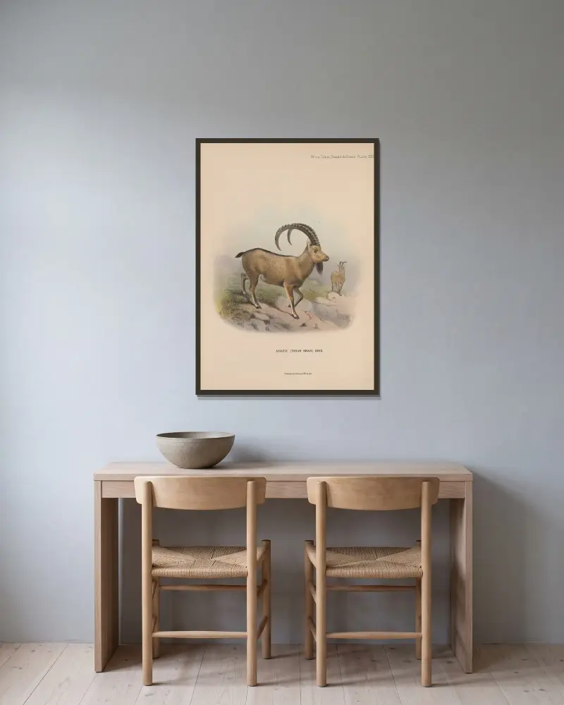 Asiatic (Thian Shan) Ibex av Richard Lydekker inramad på en vägg