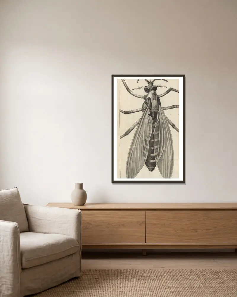 Microscopic view of a great belly’d [bellied] gnat or female gnat av Robert Hooke inramad på en vägg
