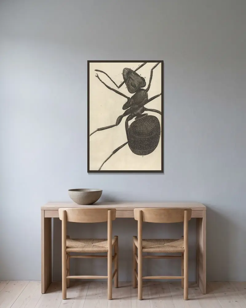 Mikroskopische Ansicht einer Ameise von Robert Hooke gerahmt an einer Wand