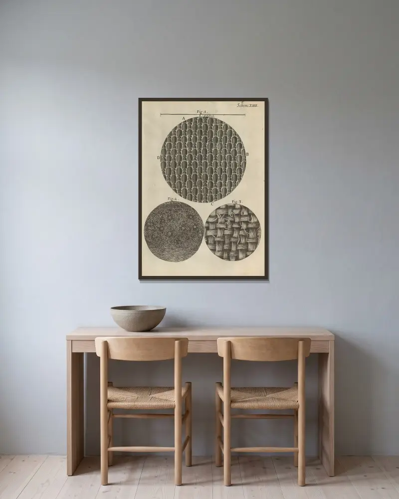 Mikroskopisk vy av tång, rosmarin och andra blad av Robert Hooke inramad på en vägg