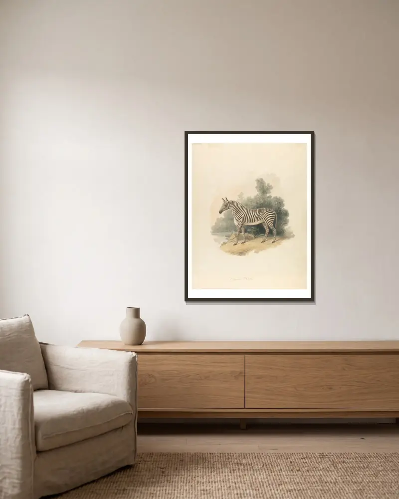 Ein Zebra von Samuel Howitt gerahmt an einer Wand