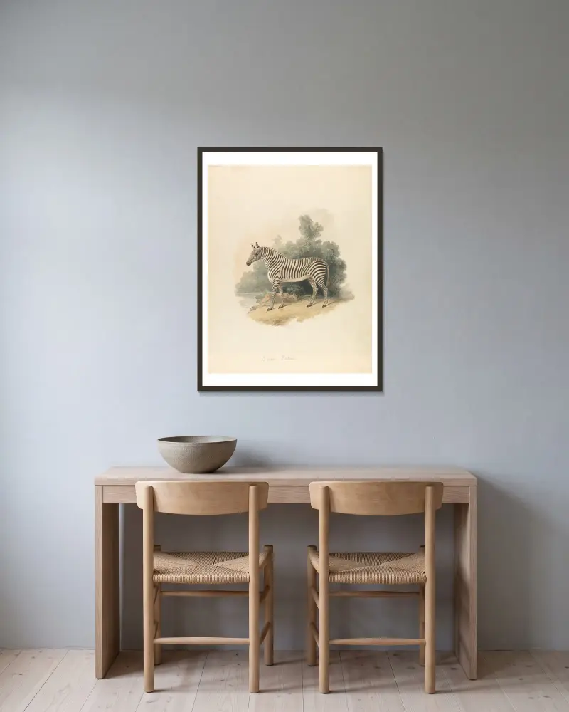 Ein Zebra von Samuel Howitt gerahmt an einer Wand
