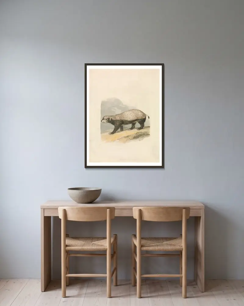 Honey-Badger von Samuel Howitt gerahmt an einer Wand