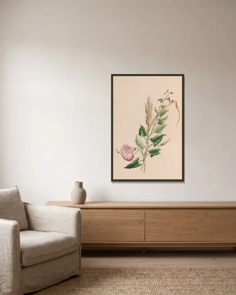 Geranium av John Stevens Henslow inramad på en vägg