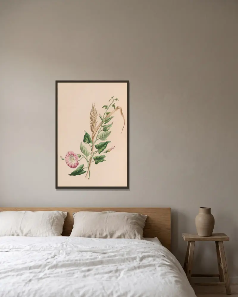 Geranium av John Stevens Henslow inramad på en vägg