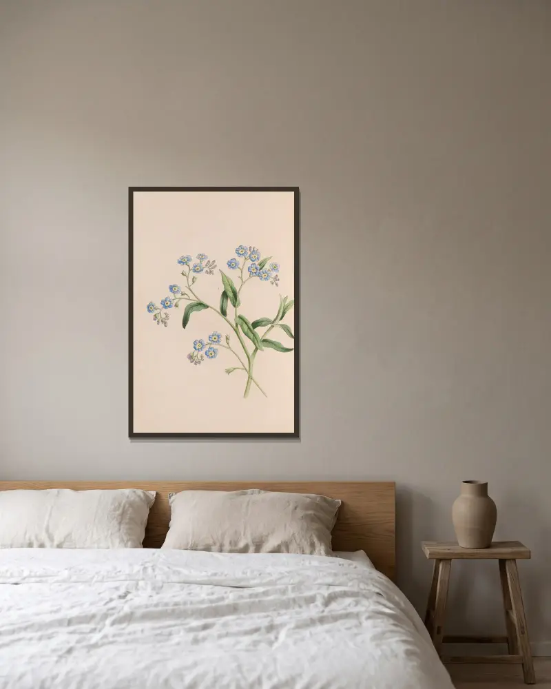 Grass av John Stevens Henslow inramad på en vägg