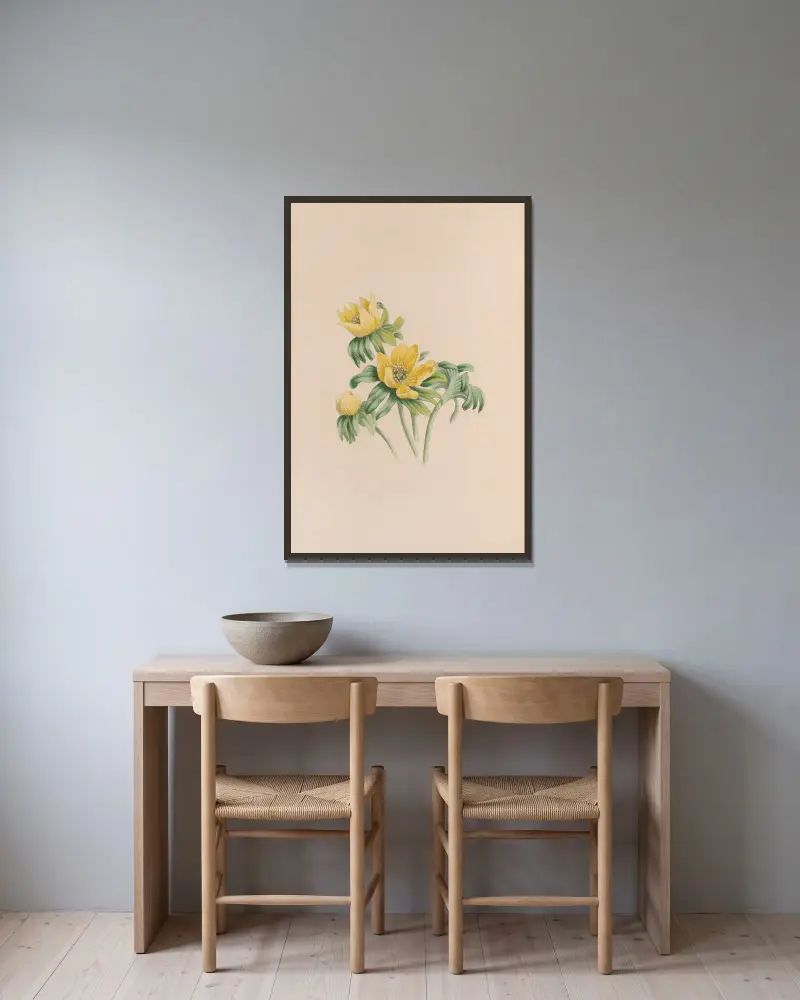 Winter Aconite av John Stevens Henslow inramad på en vägg