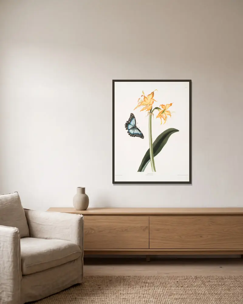 Amaryllis crocata – Papilio nestor branil von Priscilla Susan Bury gerahmt an einer Wand