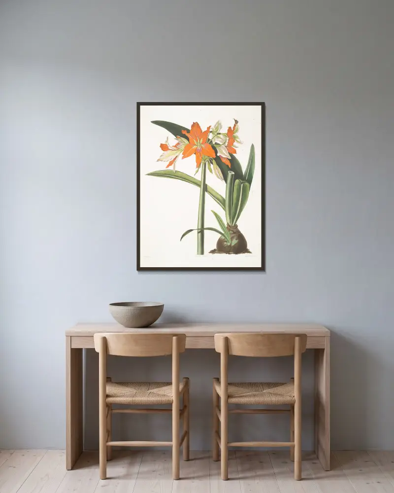 Amaryllis fulgida, 1834 – Nr. 1 von Priscilla Susan Bury gerahmt an einer Wand