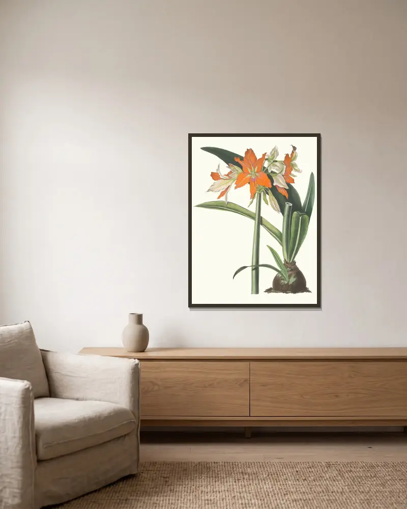 Amaryllis Fulgida, 1834 – Nr. 2 von Priscilla Susan Bury gerahmt an einer Wand