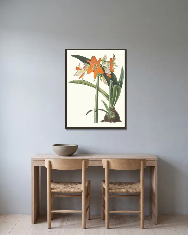 Amaryllis Fulgida, 1834 – Nr. 2 von Priscilla Susan Bury gerahmt an einer Wand