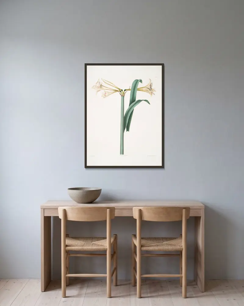 Amaryllis Harrisoni, Priscilla Susan Bury v rámu na stěně