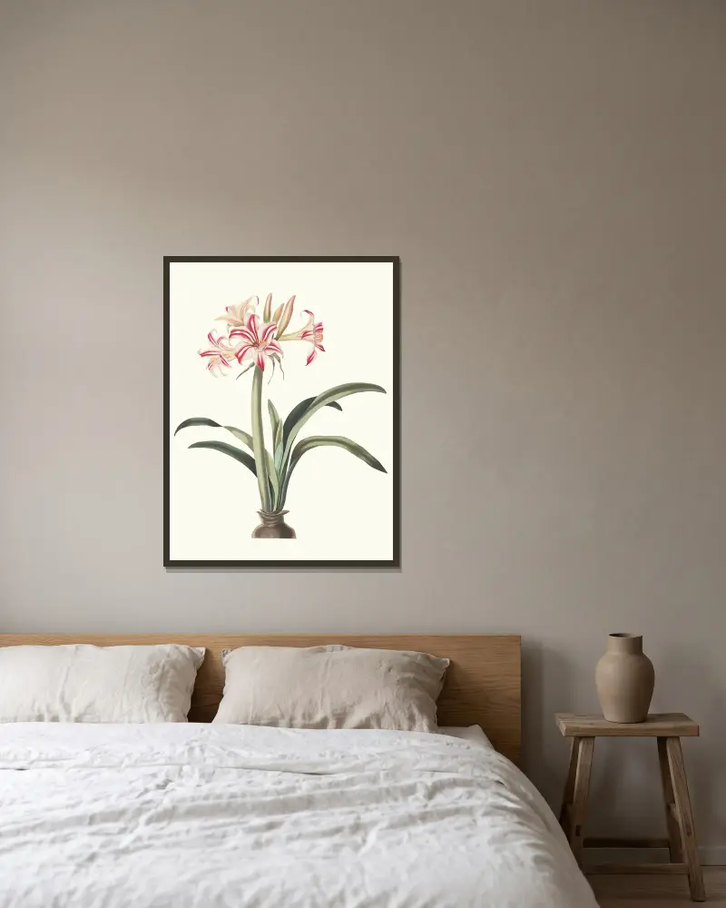 Amaryllis Superba (Vittata), 1834 – Nr. 2, Priscilla Susan Bury v rámu na stěně