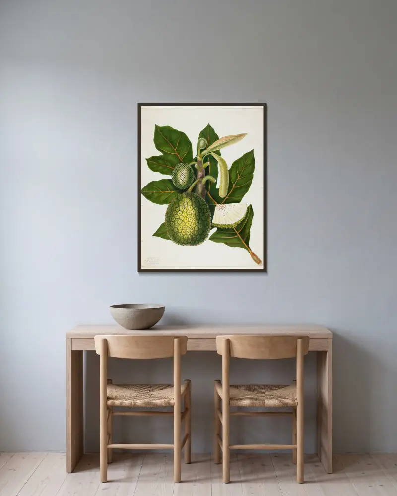 Artocarpus Incisa (Pravý chlebovník z Filipín), Priscilla Susan Bury v rámu na stěně