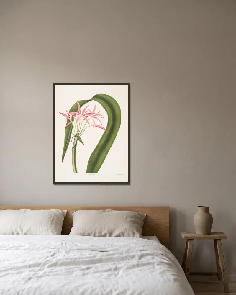 Crinum cruentum von Priscilla Susan Bury gerahmt an einer Wand