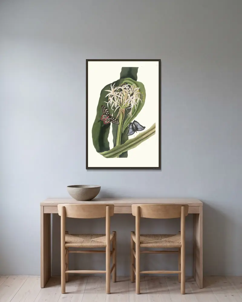 Crinum pedunculatum (Flusslilie) von Priscilla Susan Bury gerahmt an einer Wand