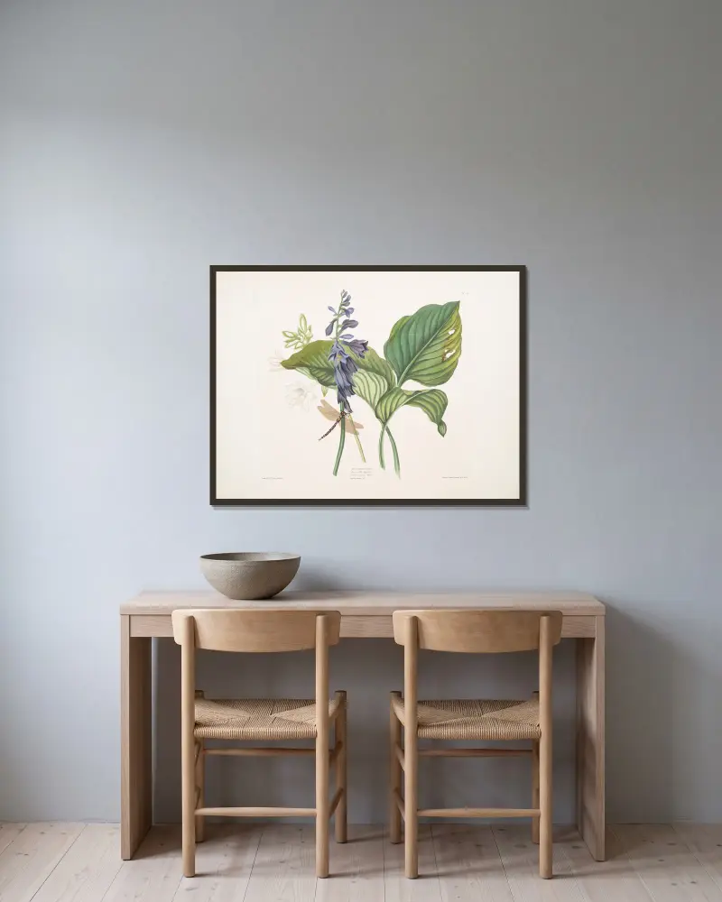 Hemerecallis caerulea, Hemerecallis japonica, Libellula anquis Harris, engelsk trollslända av Priscilla Susan Bury inramad på en vägg