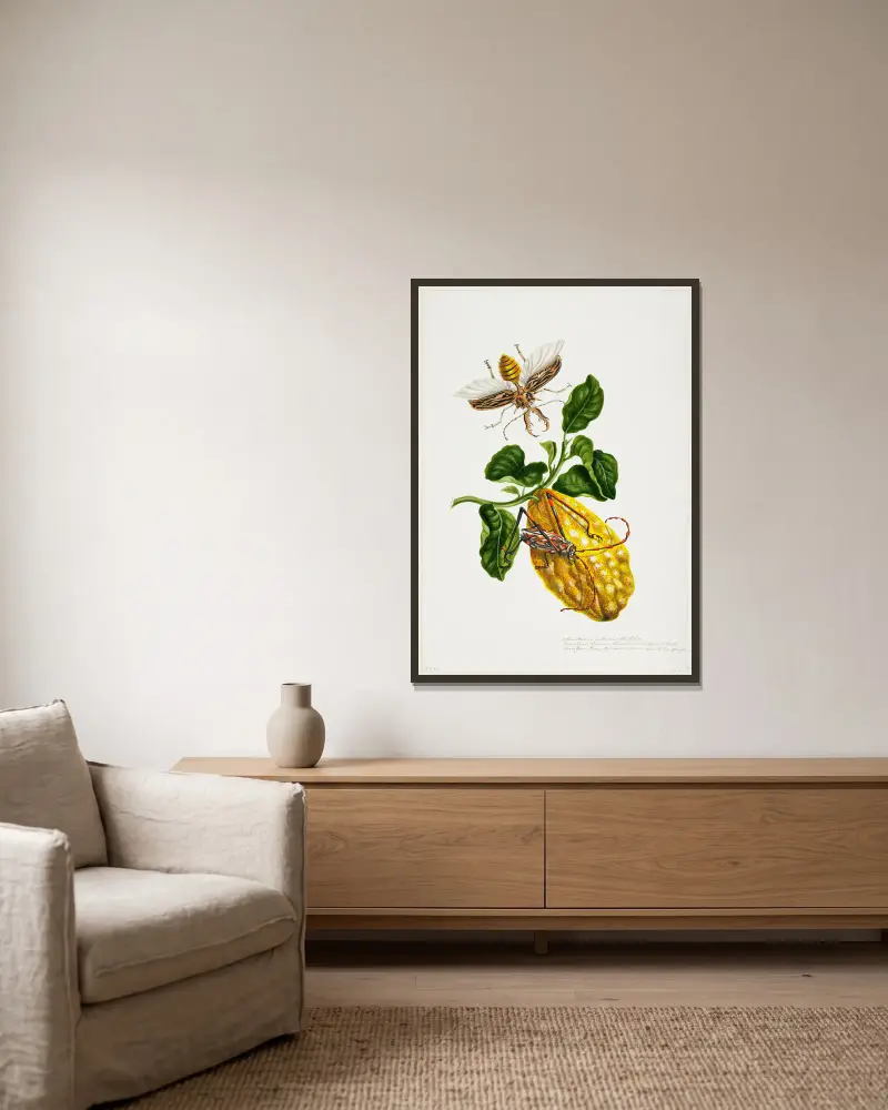 Die Zitrone und die Insekten von Priscilla Susan Bury gerahmt an einer Wand