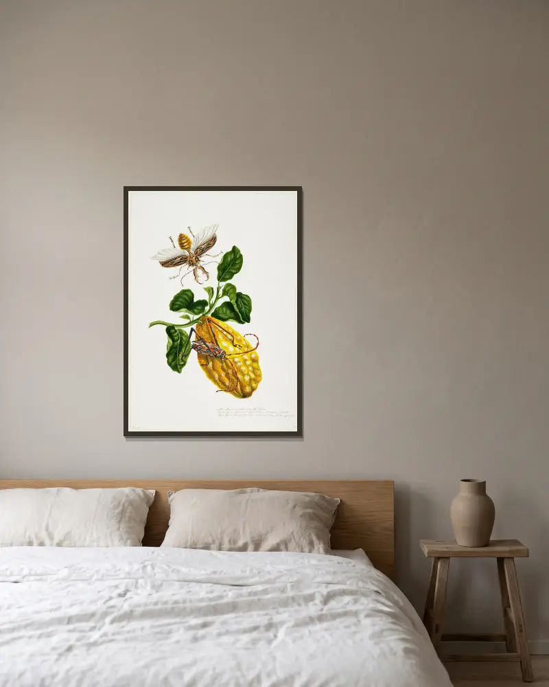 Die Zitrone und die Insekten von Priscilla Susan Bury gerahmt an einer Wand
