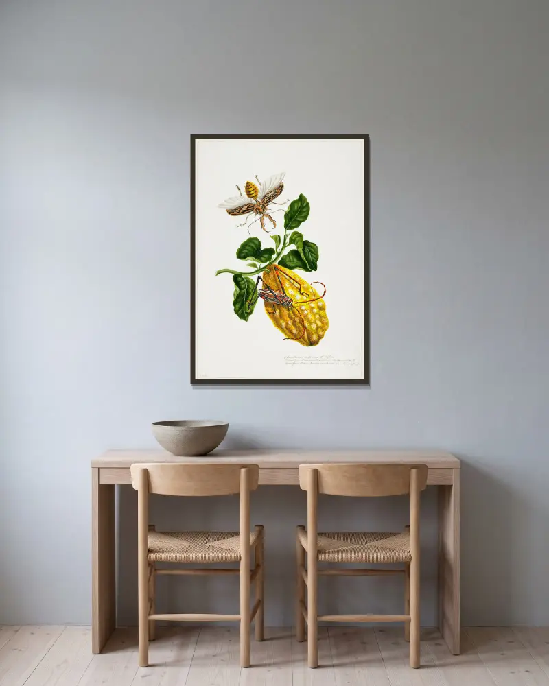 Die Zitrone und die Insekten von Priscilla Susan Bury gerahmt an einer Wand