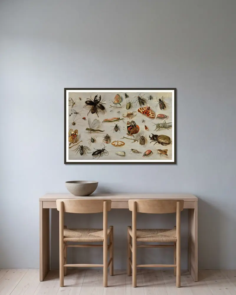 Studie av fjärilar, malar, spindlar och insekter av Jan Van Kessel The Elder inramad på en vägg