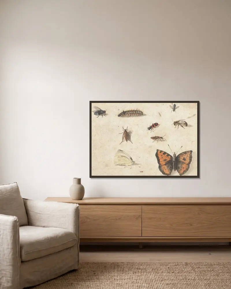 Studienblatt mit neun Insekten von Jan Van Kessel The Elder gerahmt an einer Wand