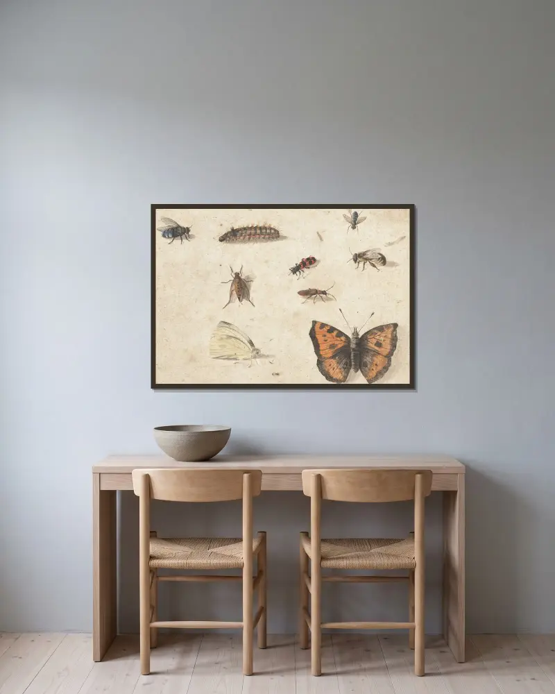 Studienblatt mit neun Insekten von Jan Van Kessel The Elder gerahmt an einer Wand