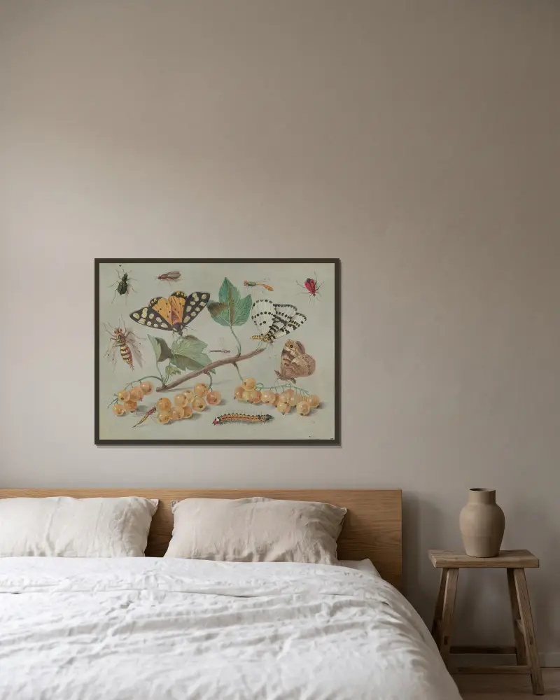 Studie eines Schmetterlings und Insekten von Jan Van Kessel The Elder gerahmt an einer Wand