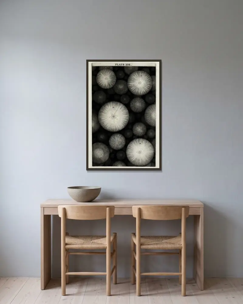 En originell teori eller ny hypotes om universum, plansch XVII av Thomas Wright inramad på en vägg