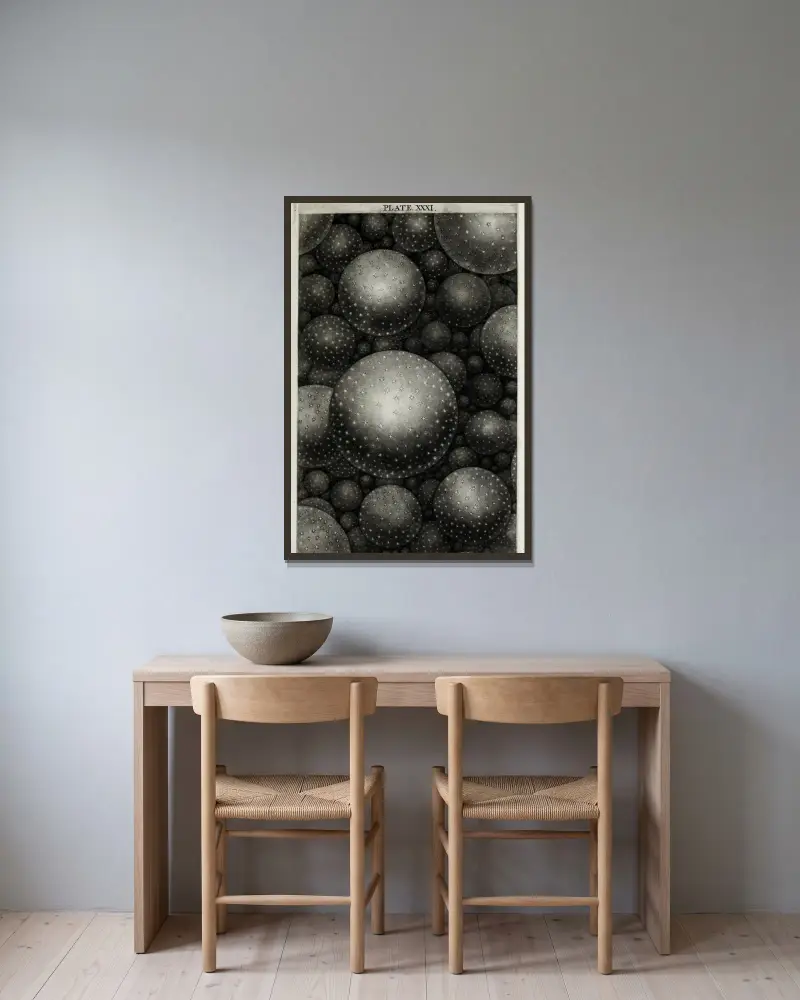 En originell teori eller ny hypotes om universum, plansch XXXI av Thomas Wright inramad på en vägg