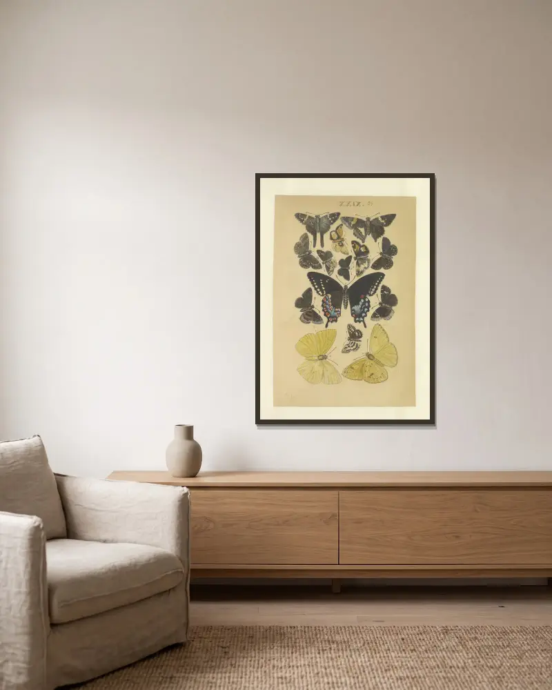 Lepidoptera Taf. 029 von Townend Glover gerahmt an einer Wand