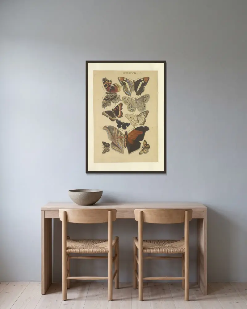 LepidopteraPl. 037, 1873, Townend Glover w ramie na ścianie