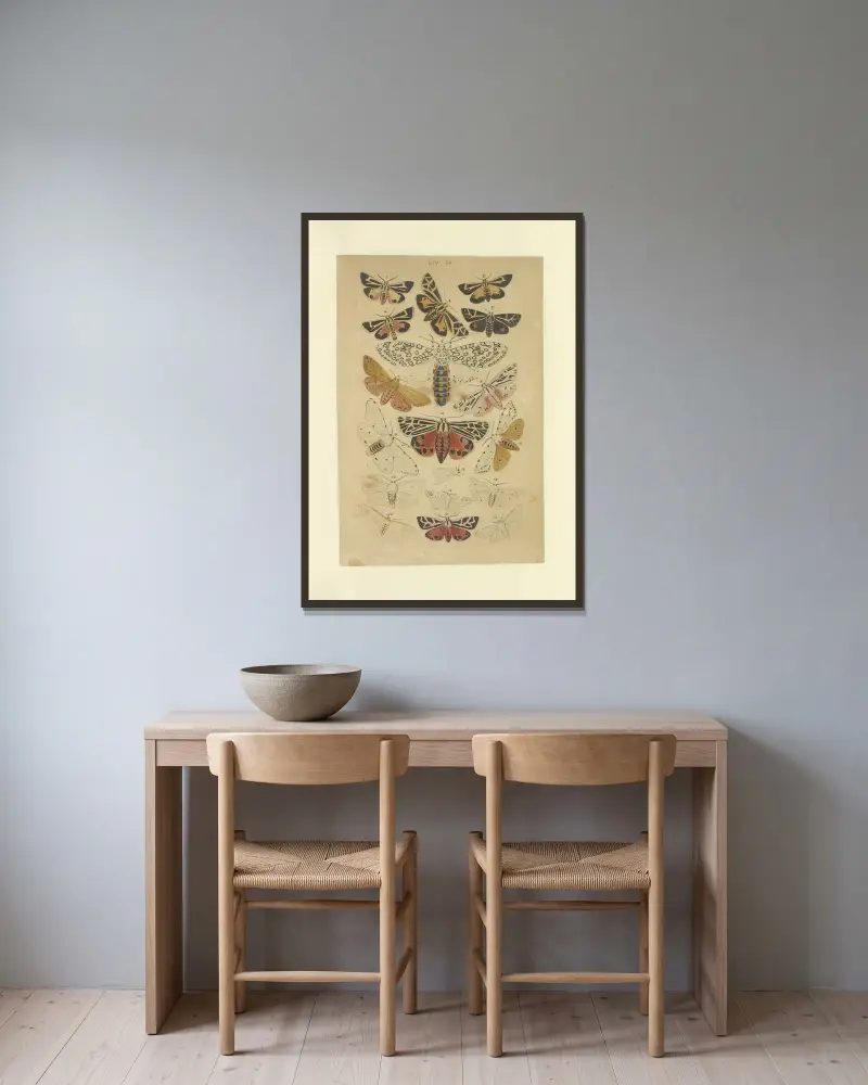 Lepidoptera Pl.054, Townend Glover w ramie na ścianie