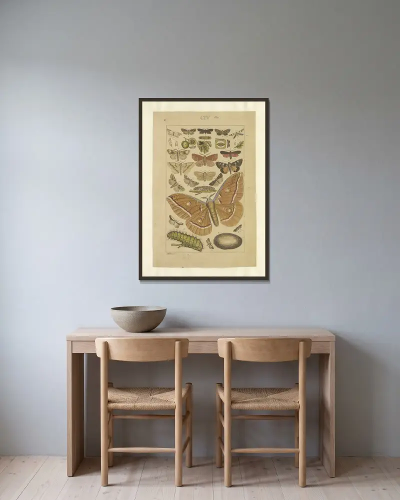 Lepidoptera Taf. 104 von Townend Glover gerahmt an einer Wand