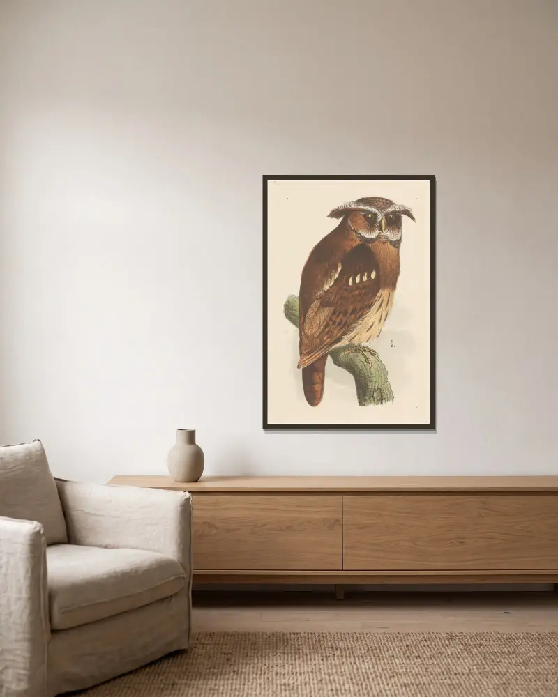Eule auf einem Ast (Bubo Lettii) von Theo van Hoytema gerahmt an einer Wand