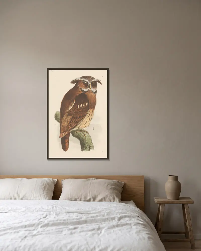 Eule auf einem Ast (Bubo Lettii) von Theo van Hoytema gerahmt an einer Wand