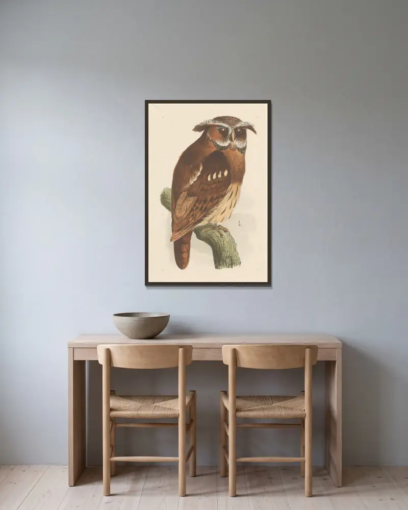 Eule auf einem Ast (Bubo Lettii) von Theo van Hoytema gerahmt an einer Wand