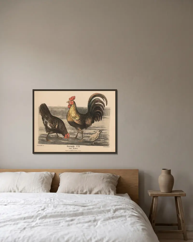 Vogels, Hoenderen av Hendrik Jan van Lummel inramad på en vägg