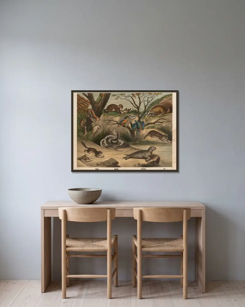 Vessla, iller, mård, huggorm, listfåglar, säl, grävling, utter av Hendrik Jan van Lummel inramad på en vägg