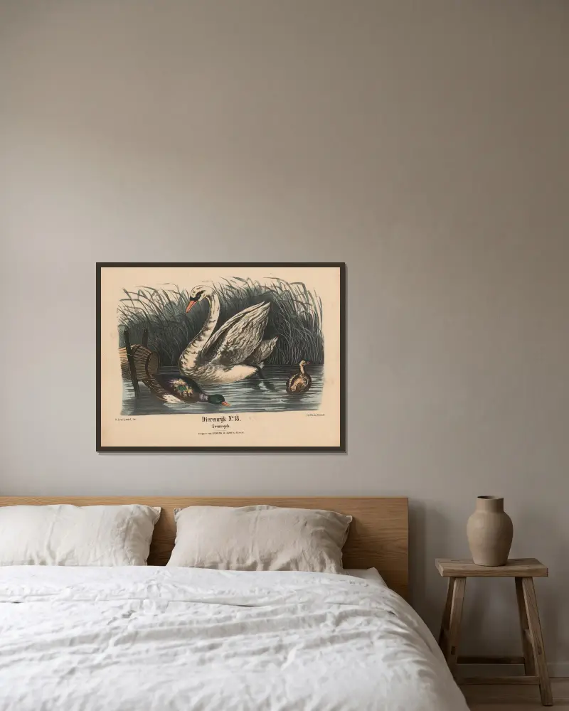 Plovoucí ptáci, Hendrik Jan van Lummel v rámu na stěně