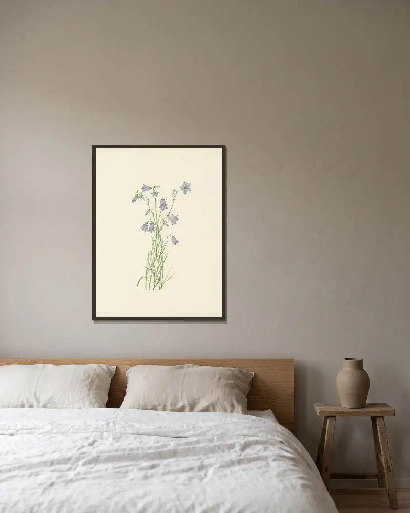 Harebell (Campanula rotundifolia) av Mary Vaux Walcott inramad på en vägg