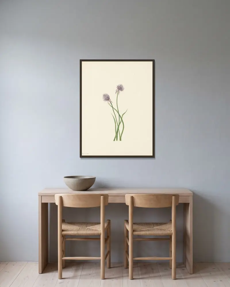 Siberian Onion (Allium sibericum) av Mary Vaux Walcott inramad på en vägg